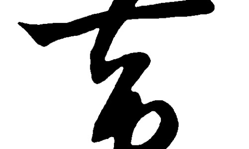 青陈皮的功效与作用及禁忌是什么-青陈皮的功效与作用及禁忌网 :分享青皮陈皮的功效-青皮陈皮的功效作用与主治知识