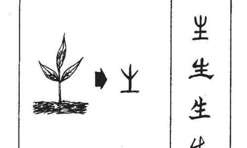 青陈皮的功效与作用及禁忌是什么-青陈皮的功效与作用及禁忌网 :分享青皮陈皮的功效-青皮陈皮的功效作用与主治知识